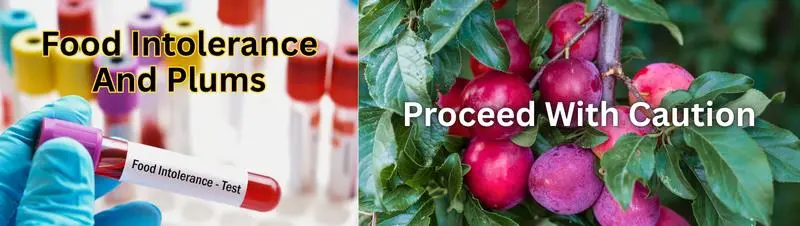 Food Intolerance And Plums