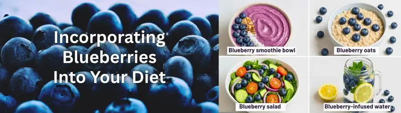 Incorporating Blueberries Into Your Diet