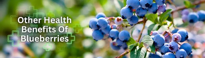 Other Health Benefits Of Blueberries 