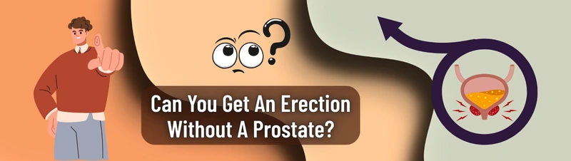Can You Get An Erection Without A Prostate