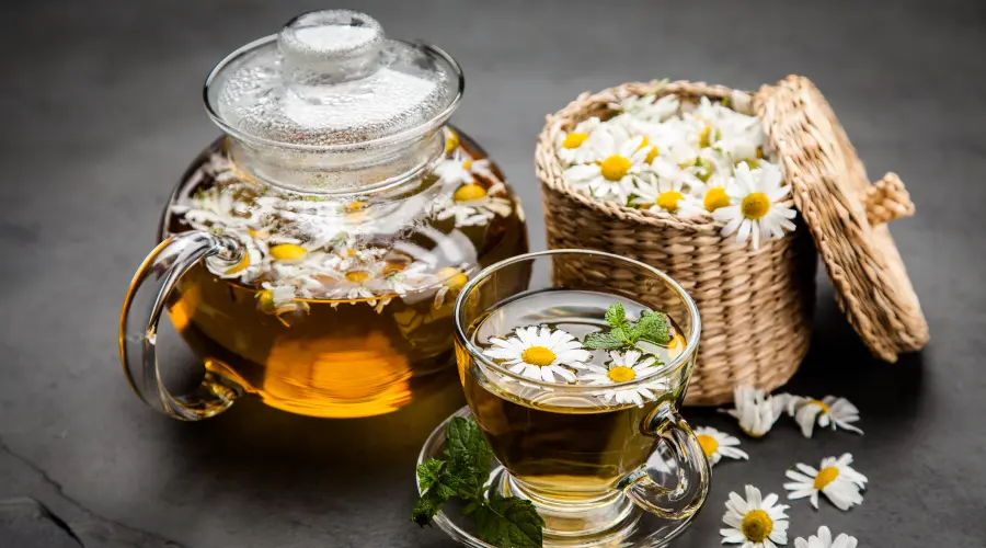 Chamomile